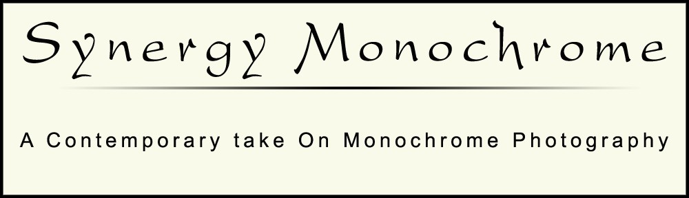 Synergy Monochrome Blog